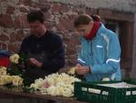 Chrysanthema 2010 047.jpg