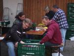 Chrysanthema 2010 049.jpg