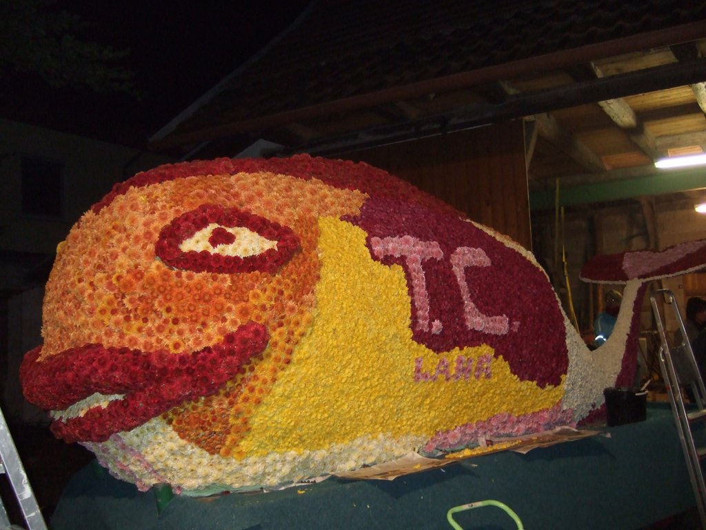 Chrysanthema 2010 066.jpg