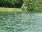 2011_0522Bilder0023.JPG