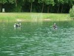 2011_0522Bilder0024.JPG