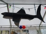 DSCF0663.jpg