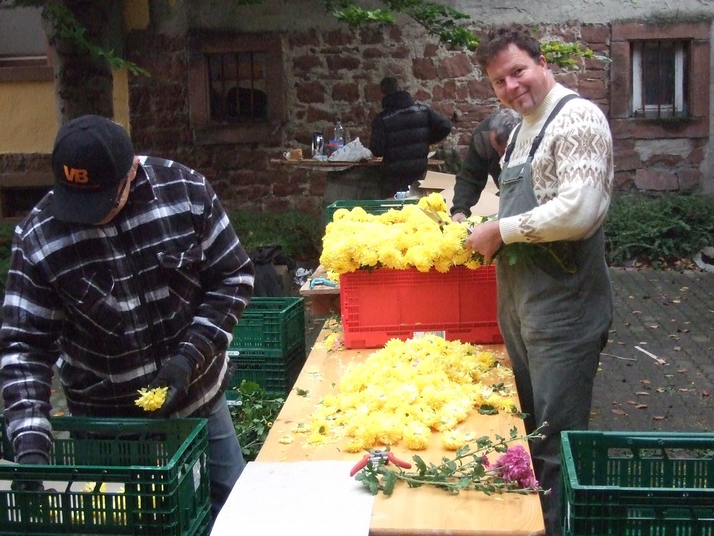 Chrysanthema 2011 007.jpg