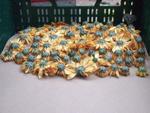 Chrysanthema 2011 008.jpg