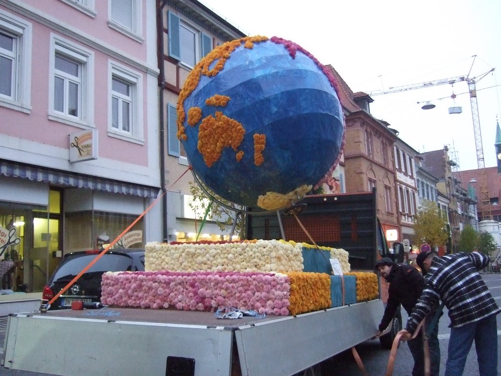Chrysanthema 2011 062.jpg
