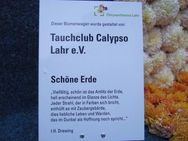 Chrysanthema 2011 067.jpg