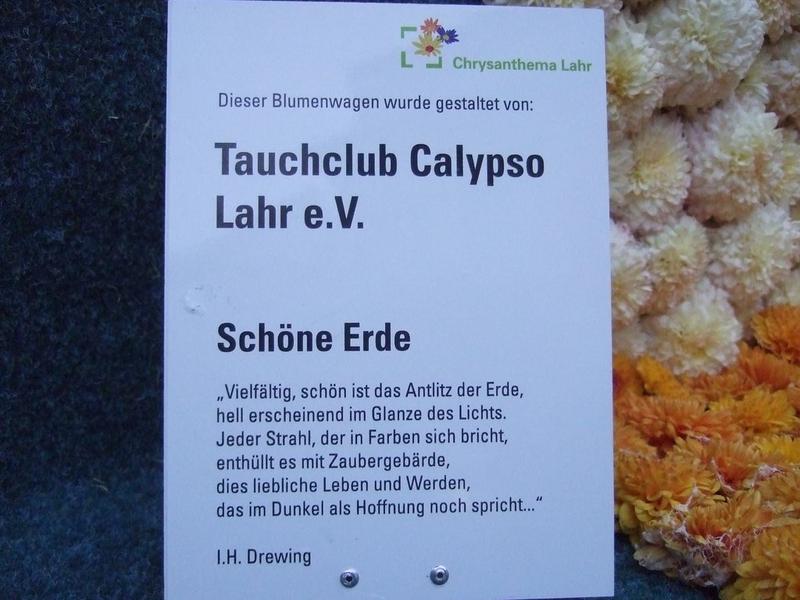 Chrysanthema 2011 067.jpg