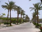 Ägypten 2012 040.jpg