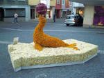 Chrysanthema 2012