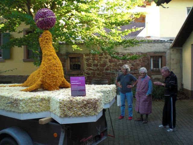 Chrysanthema 2012 006.jpg