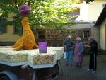 Chrysanthema 2012 006.jpg