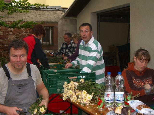 Chrysanthema 2012 008.jpg