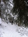 Bild0002.jpg