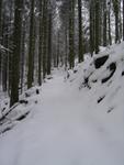 Bild0003.jpg