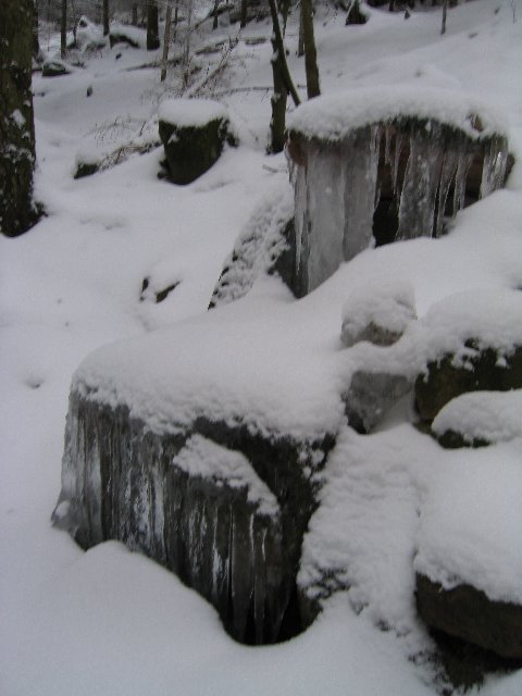 Bild0004.jpg
