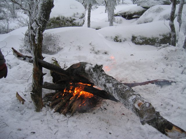 Bild0027.jpg