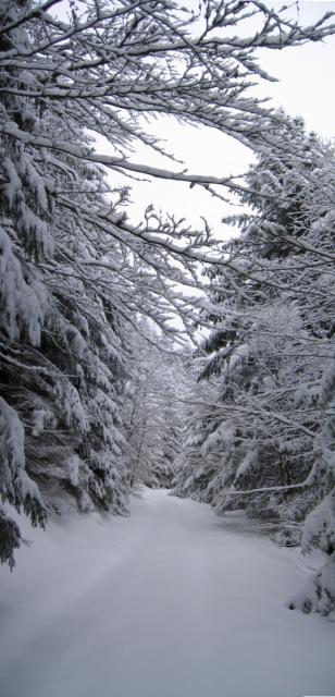 Bild0036.jpg