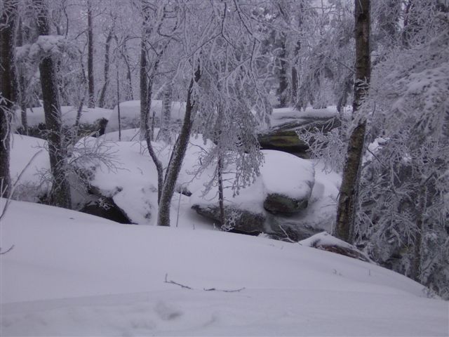Bild0059.jpg