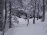 Bild0060.jpg