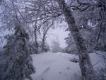 Bild0061.jpg