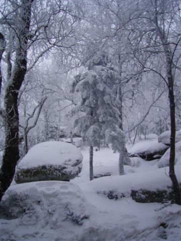 Bild0063.jpg