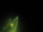 Bild0045.jpg