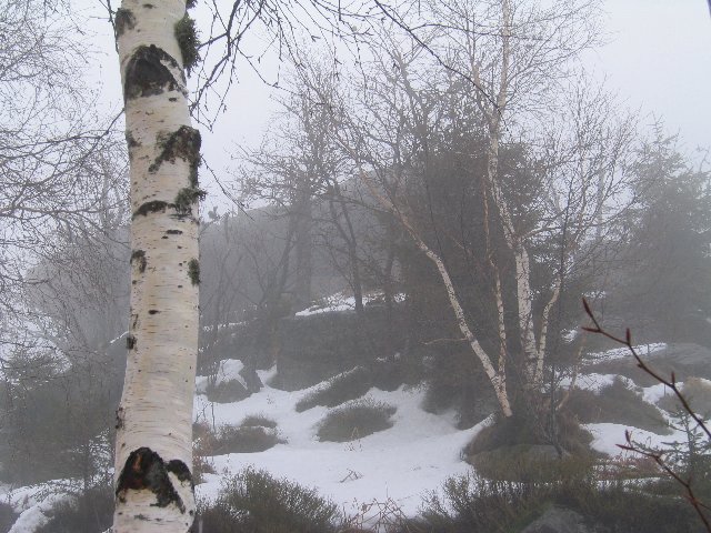 Bild0008.jpg