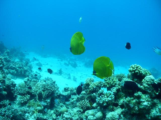 aegypten2008-0014.jpg