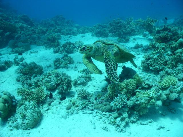 aegypten2008-0016.jpg