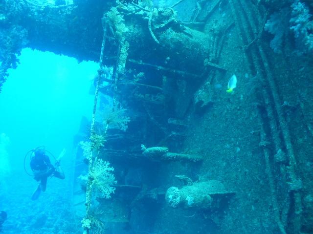 aegypten2008-0039.jpg