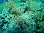 aegypten2008-0056.jpg