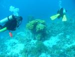 aegypten2008-0057.jpg