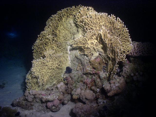 aegypten2008-0067.jpg