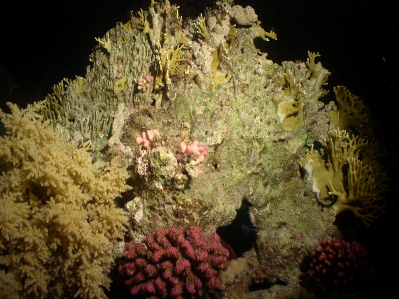 aegypten2008-0072.jpg