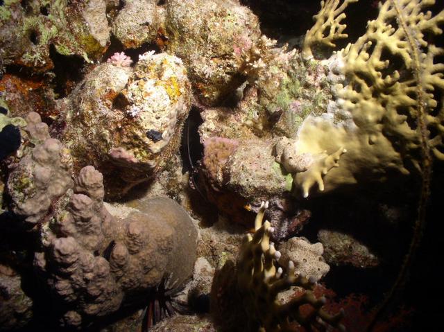 aegypten2008-0073.jpg