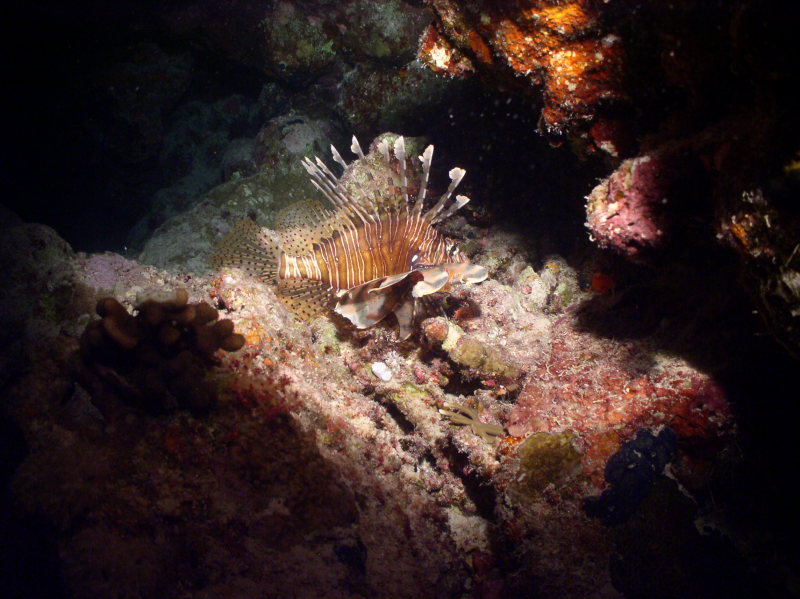 aegypten2008-0077.jpg