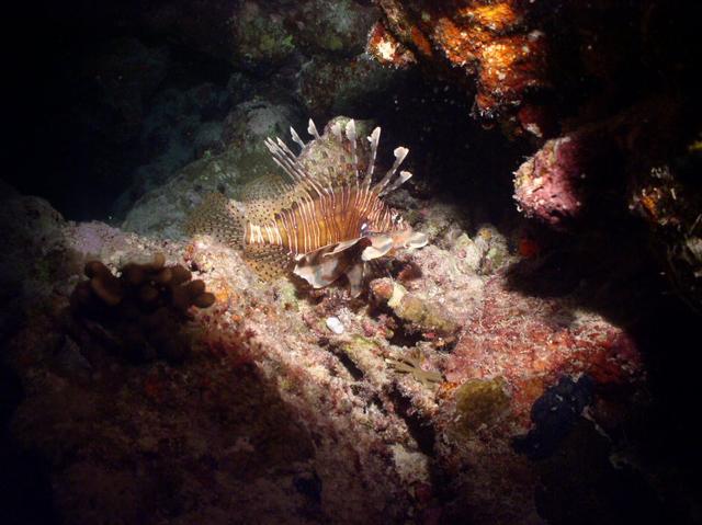 aegypten2008-0077.jpg