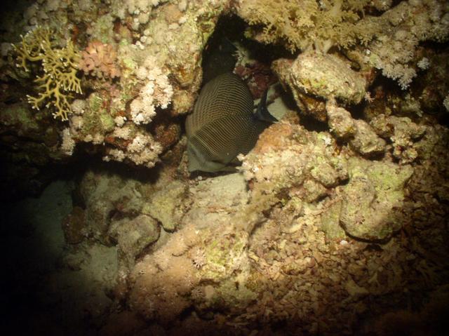 aegypten2008-0078.jpg