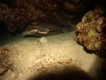 aegypten2008-0079.jpg