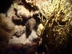 aegypten2008-0083.jpg