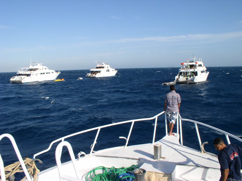 aegypten2008-0088.jpg