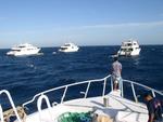 aegypten2008-0088.jpg