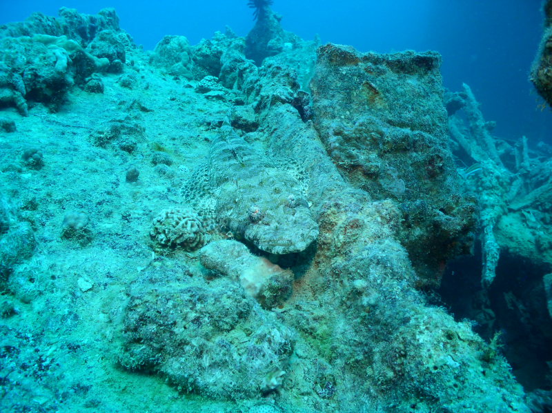 aegypten2008-0092.jpg