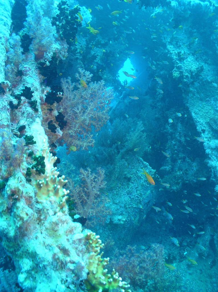 aegypten2008-0106.jpg