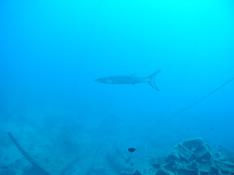 aegypten2008-0113.jpg