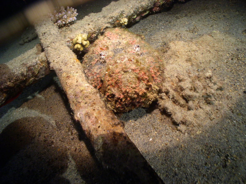 aegypten2008-0123.jpg