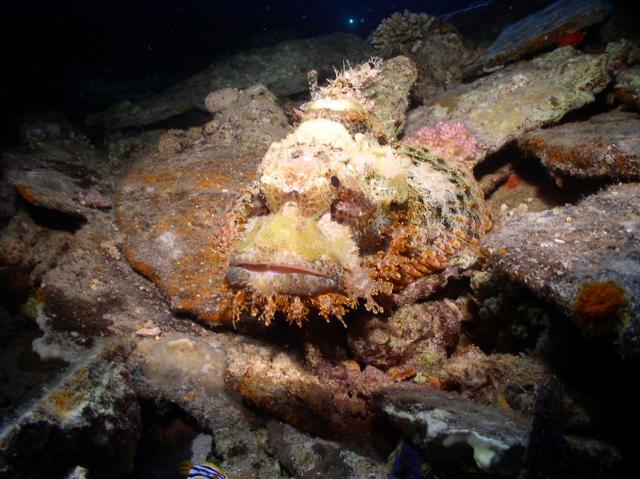 aegypten2008-0124.jpg