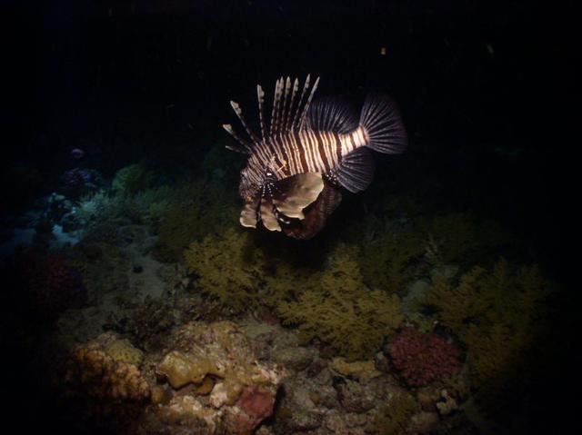 aegypten2008-0128.jpg