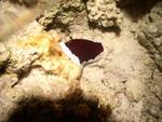 aegypten2008-0130.jpg