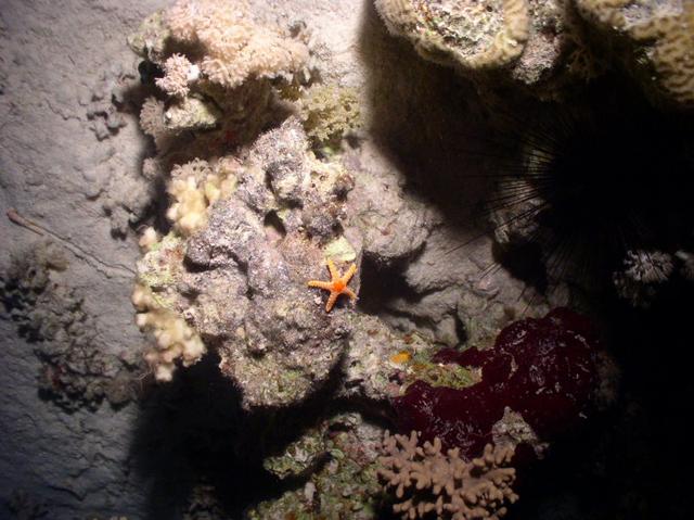 aegypten2008-0141.jpg